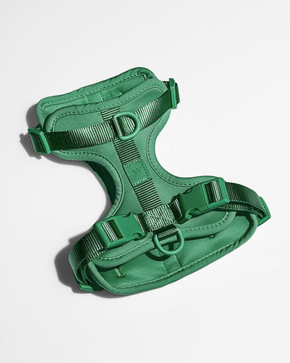 Cushioned Dog Harness