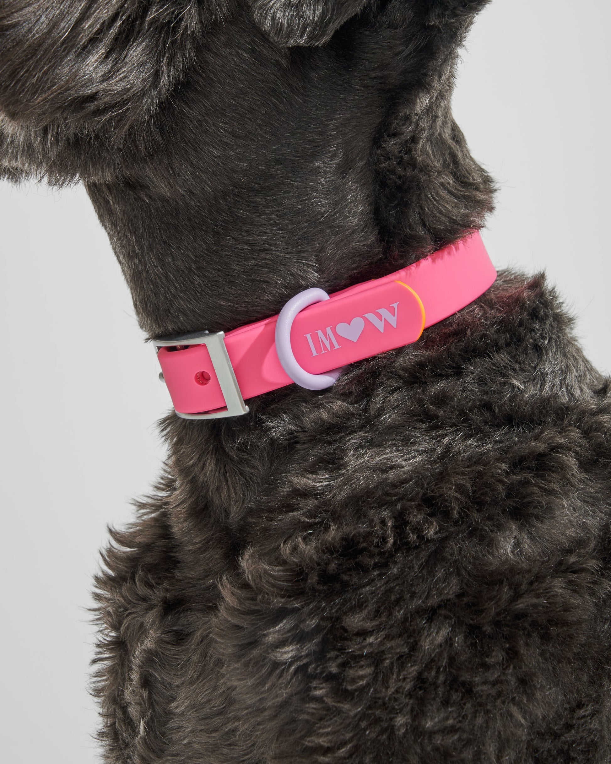 Waterproof Dog Collar