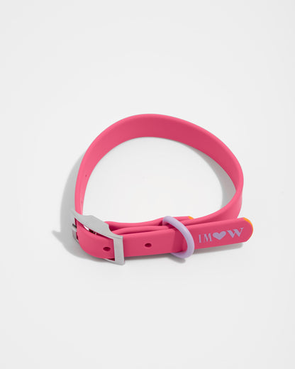 Waterproof Dog Collar