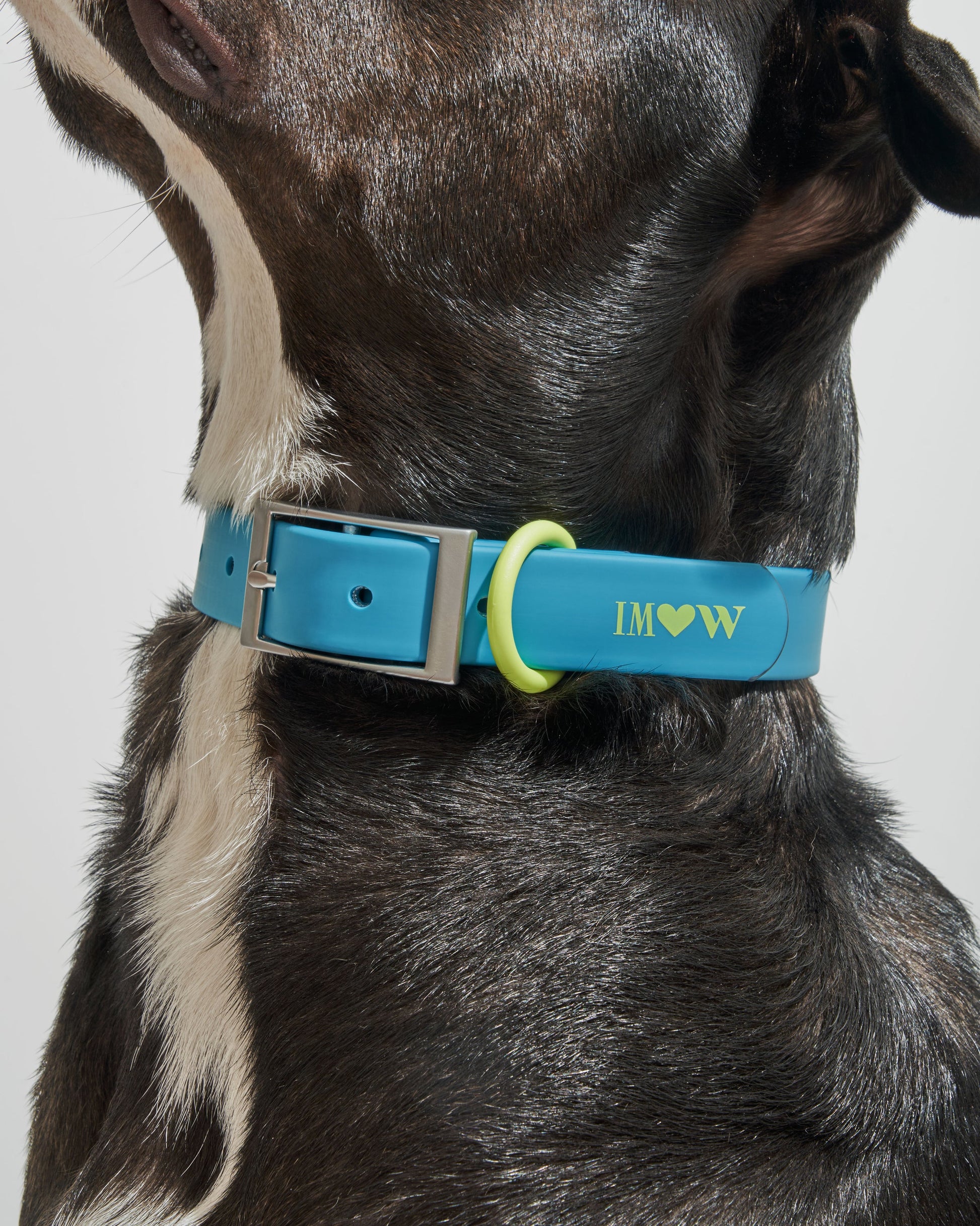 Waterproof Dog Collar