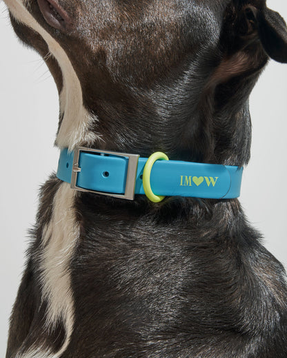 Waterproof Dog Collar
