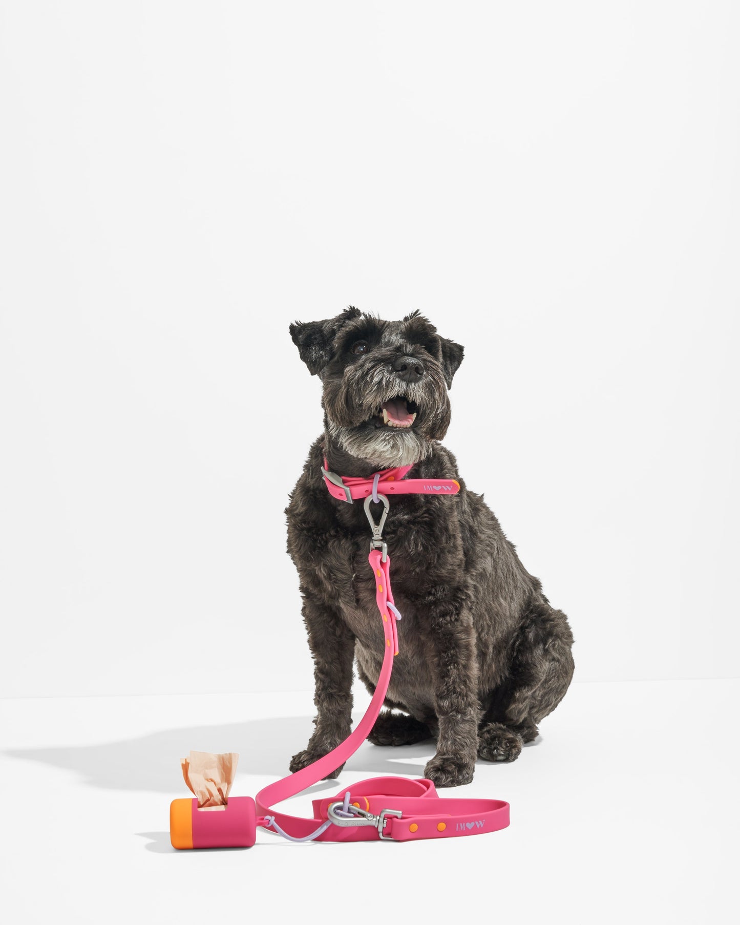 Waterproof Dog Collar