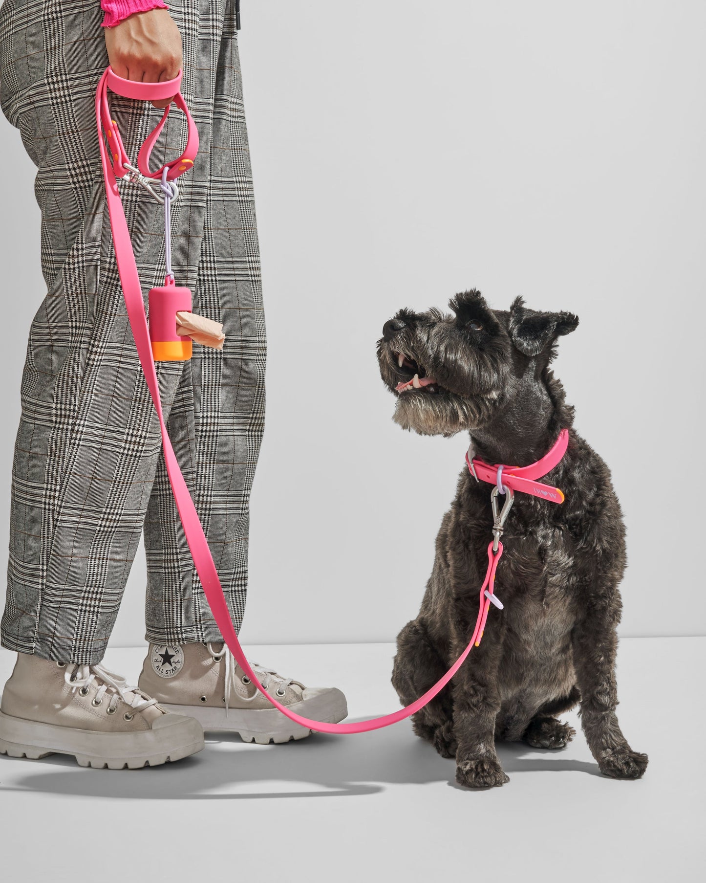 Waterproof Dog Collar