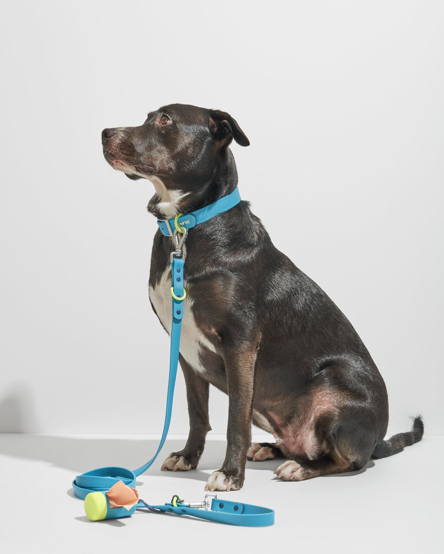 Waterproof Dog Collar
