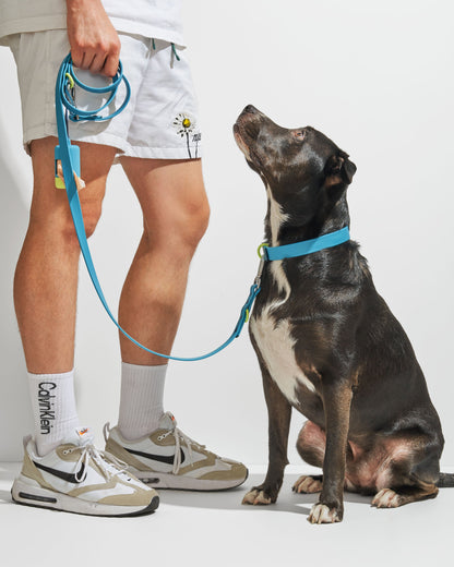 Waterproof Dog Collar