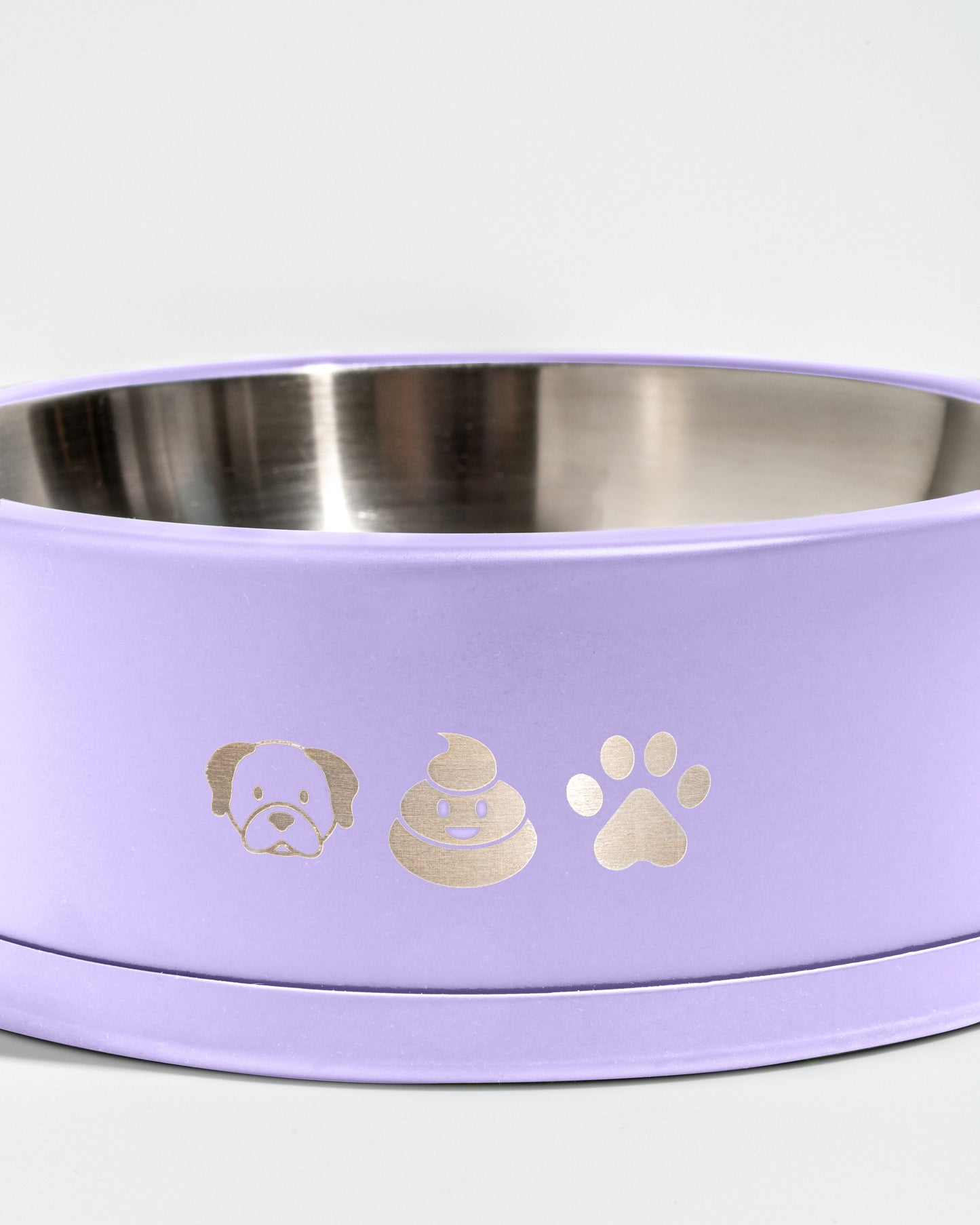 Dog Bowl
