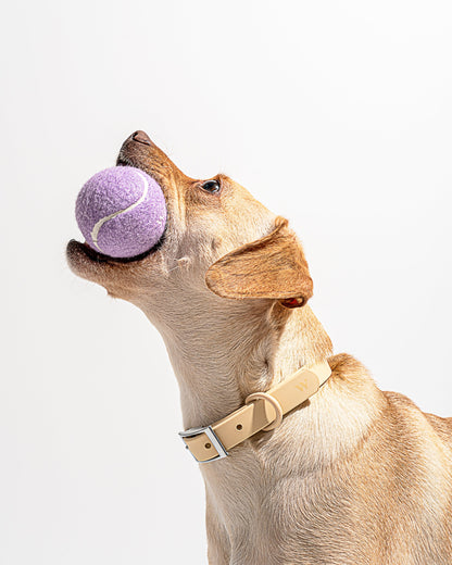 Tennis Balls 4-Pack