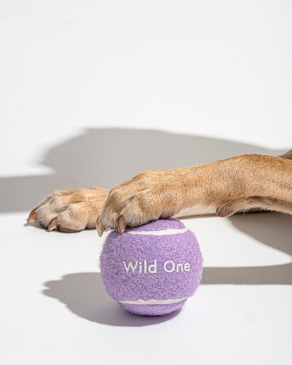 Tennis Balls 4-Pack