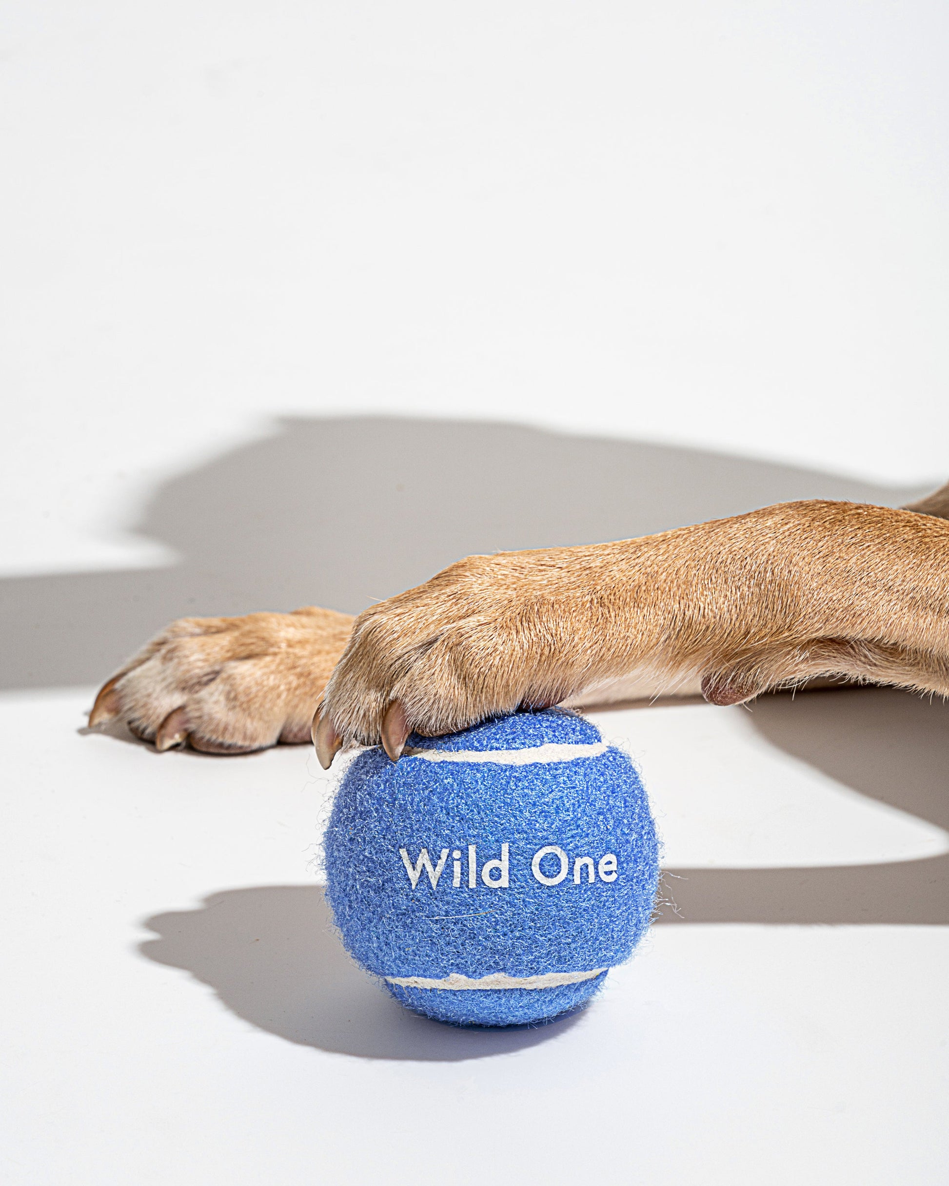 Tennis Balls 4-Pack