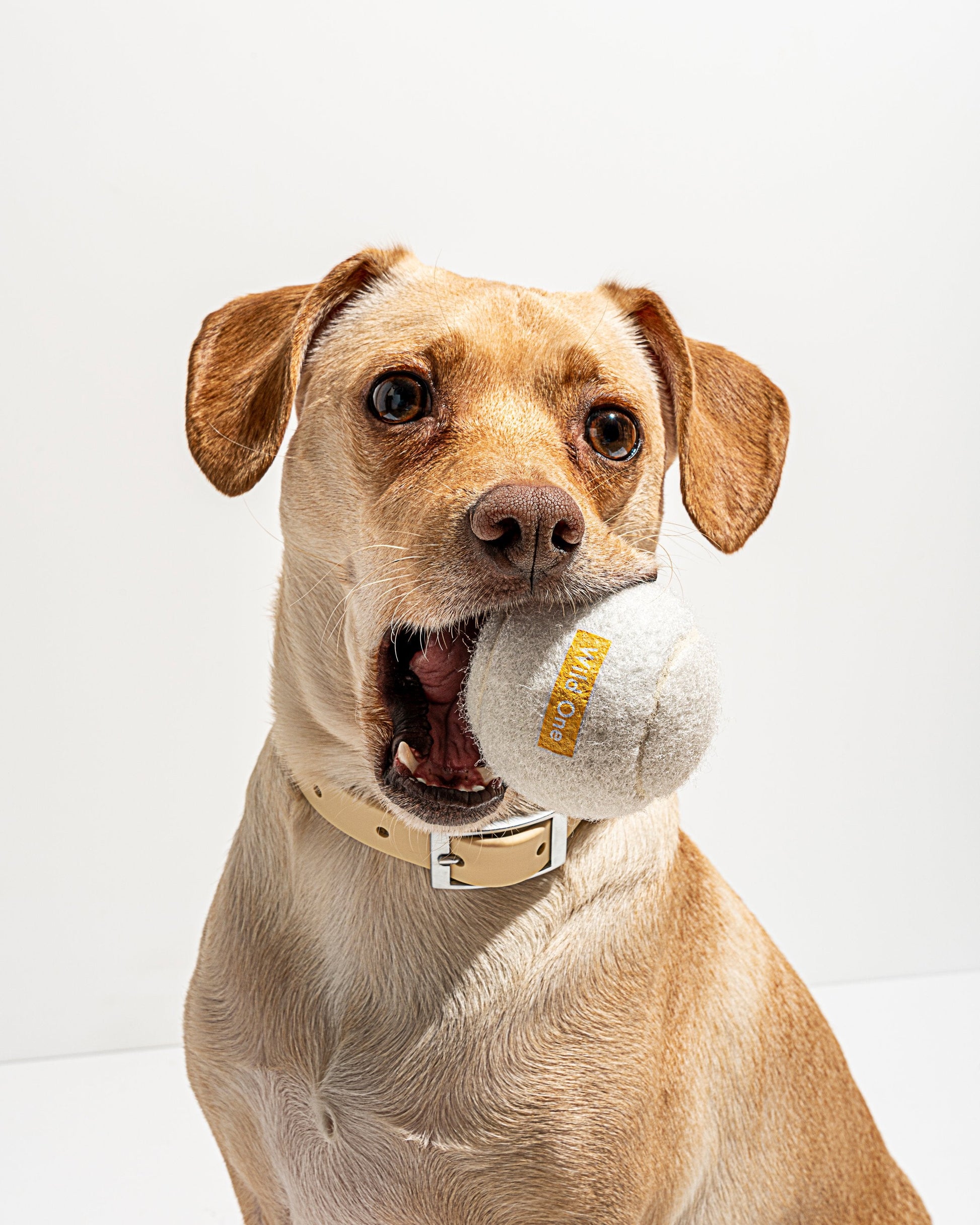 Tennis Balls 4-Pack