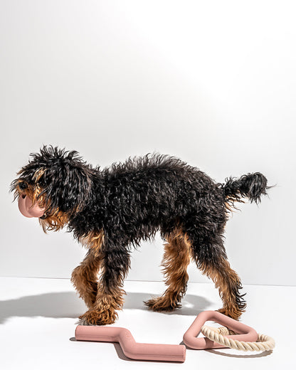 Dog Toy Kit