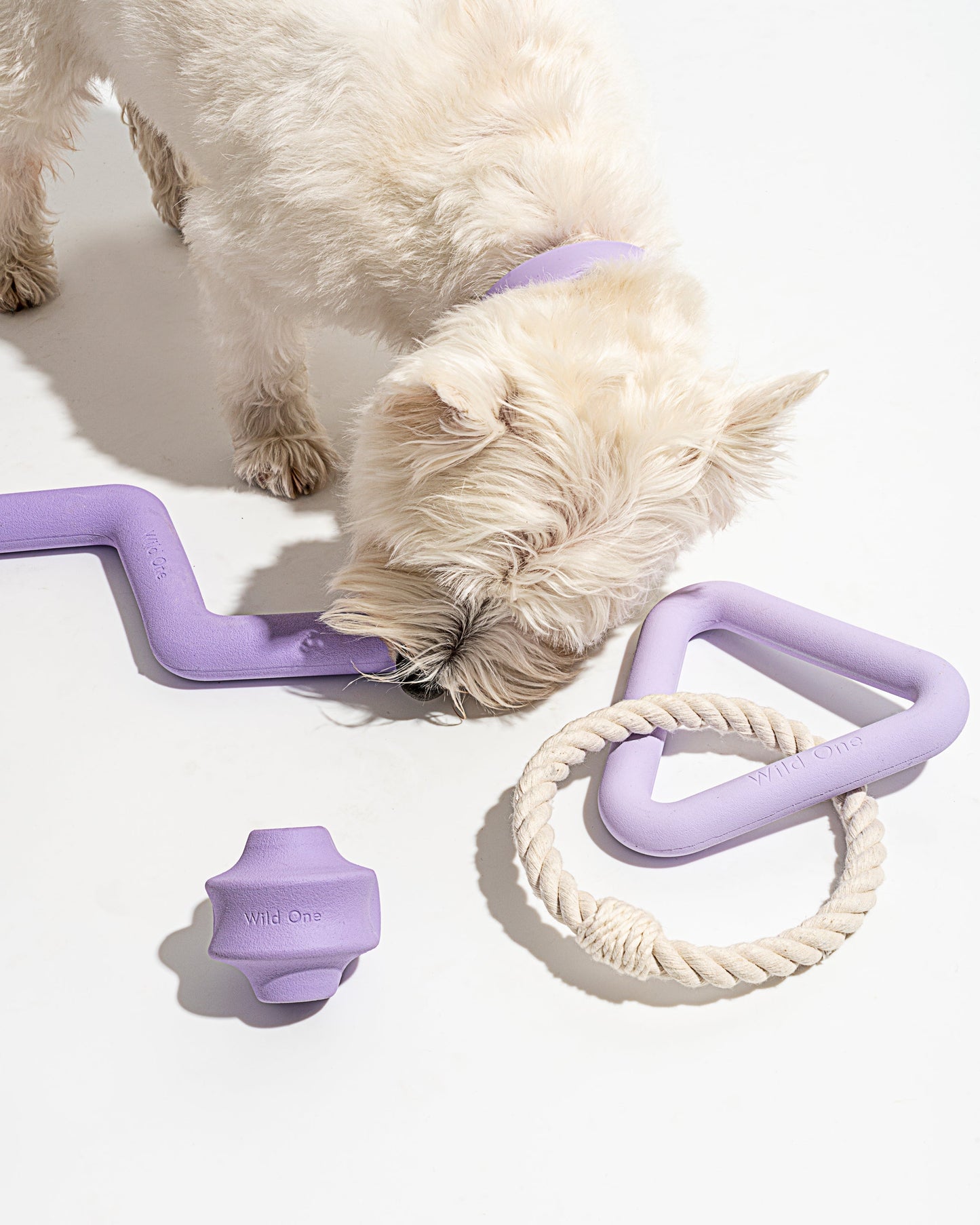 Dog Toy Kit