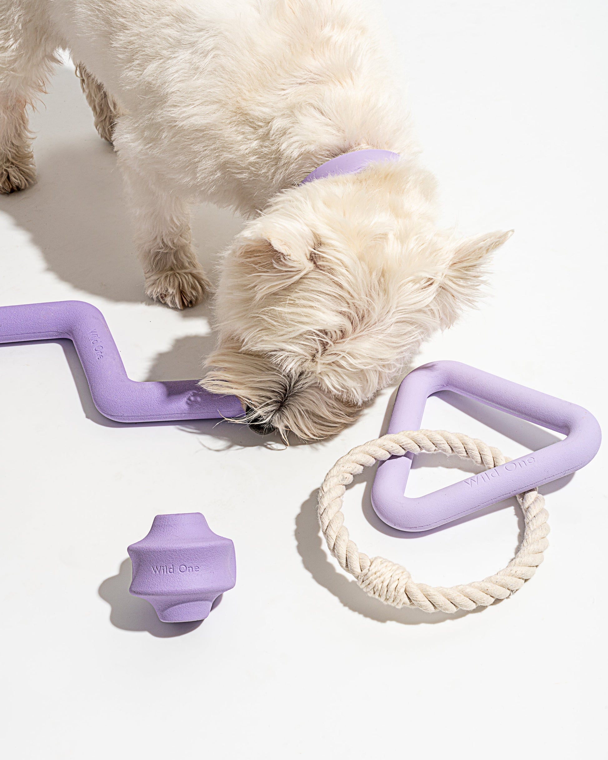 Dog Toy Kit