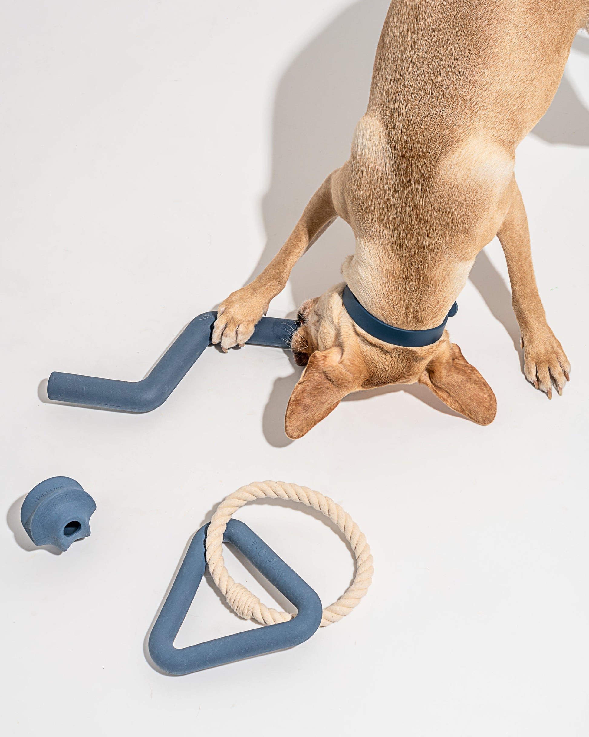 Dog Toy Kit