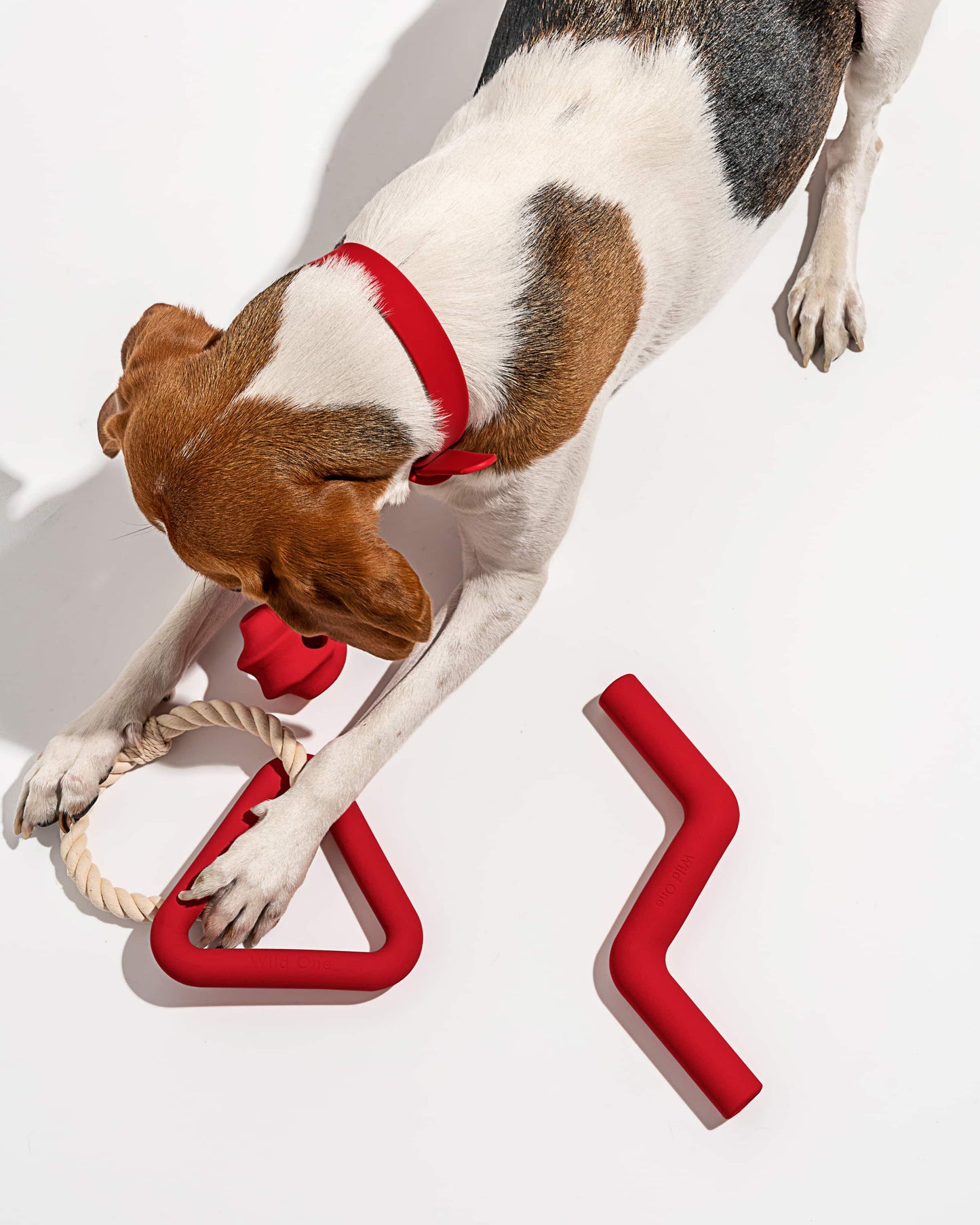 Dog Toy Kit