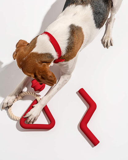 Dog Toy Kit