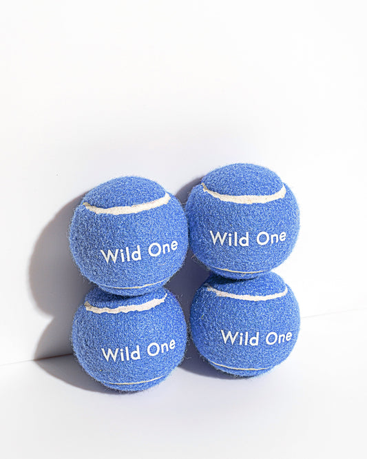 Tennis Balls 4-Pack