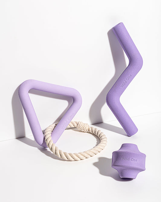 Dog Toy Kit