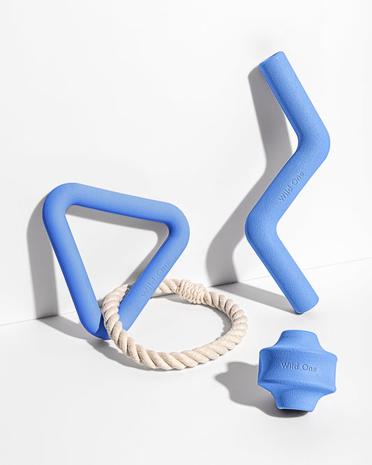 Dog Toy Kit