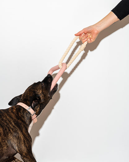 Dog Toy Kit