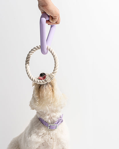 Dog Toy Kit