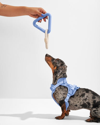 Dog Toy Kit