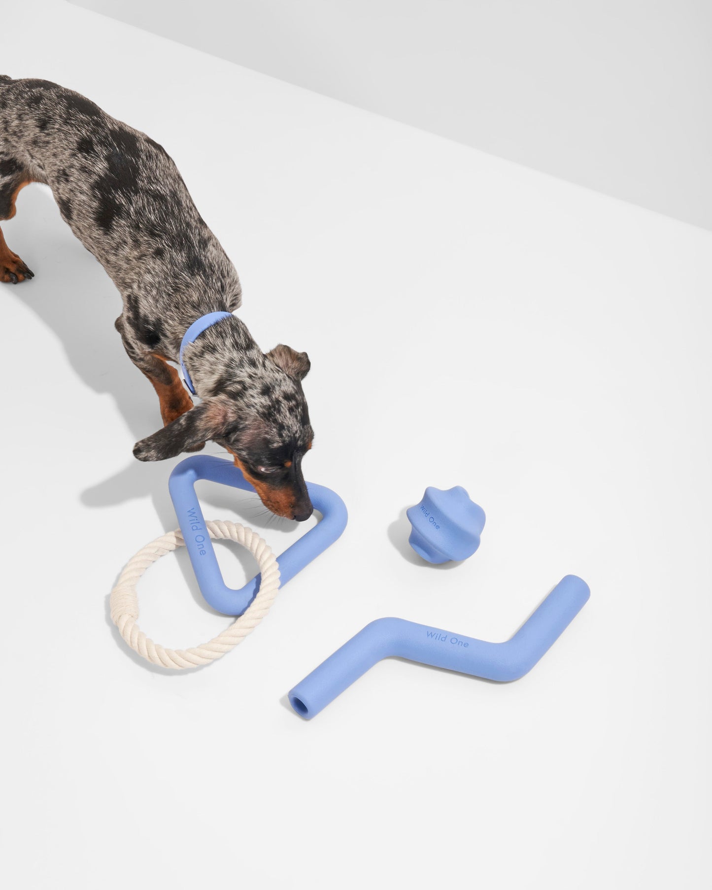 Dog Toy Kit