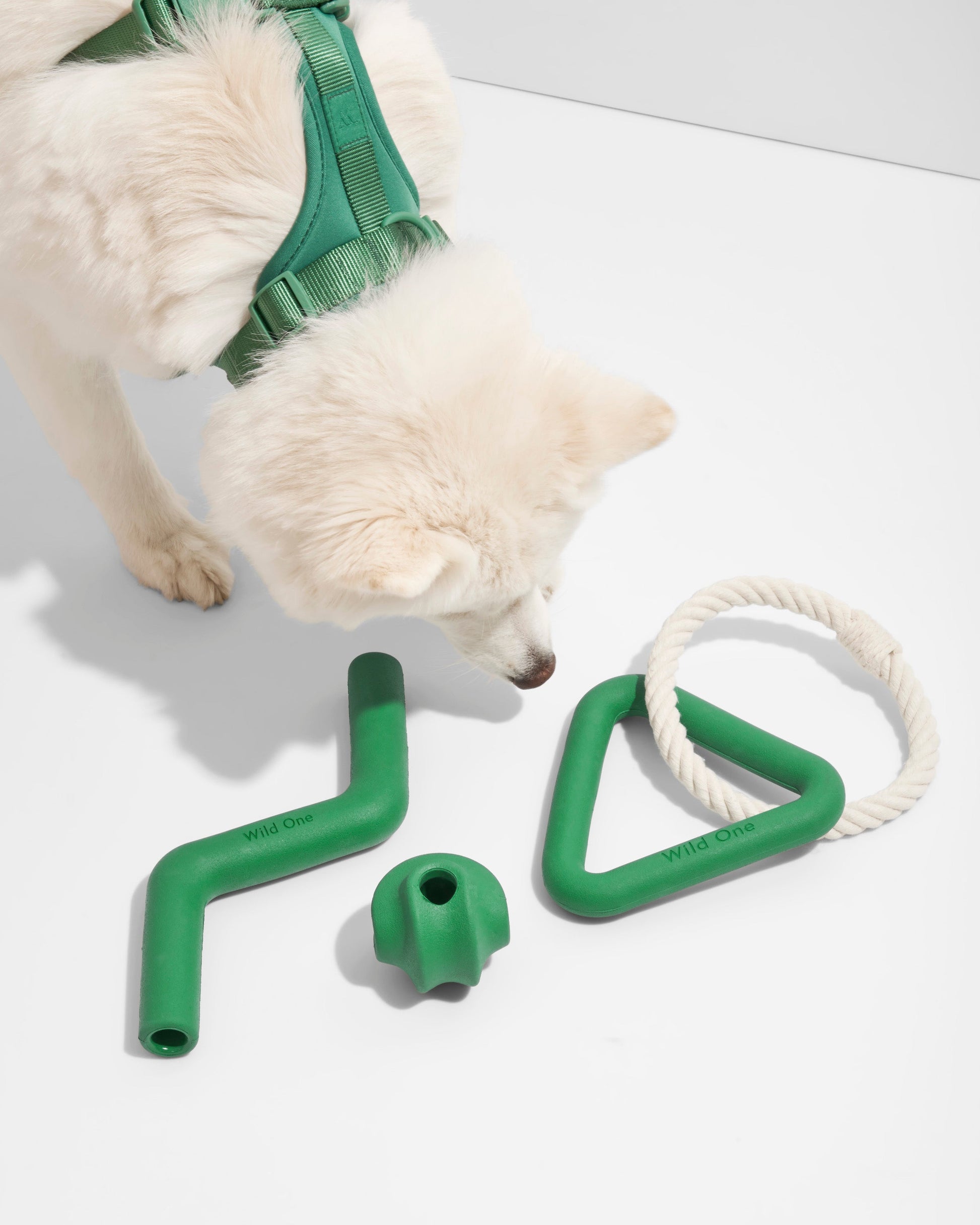 Dog Toy Kit