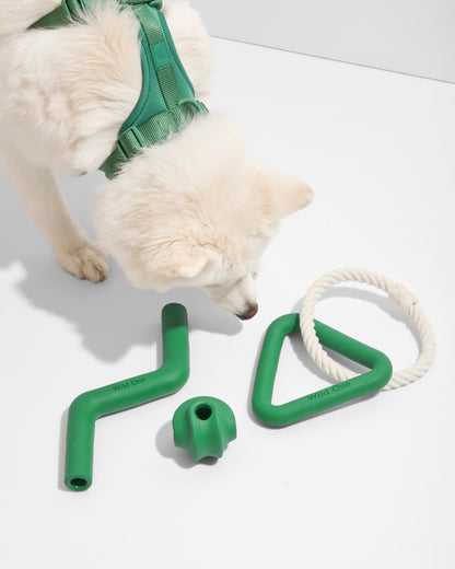 Dog Toy Kit
