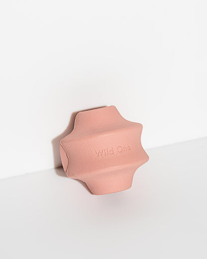 Dog Toy Kit