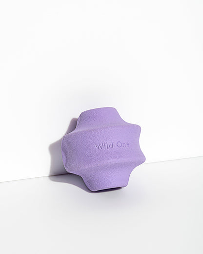 Dog Toy Kit
