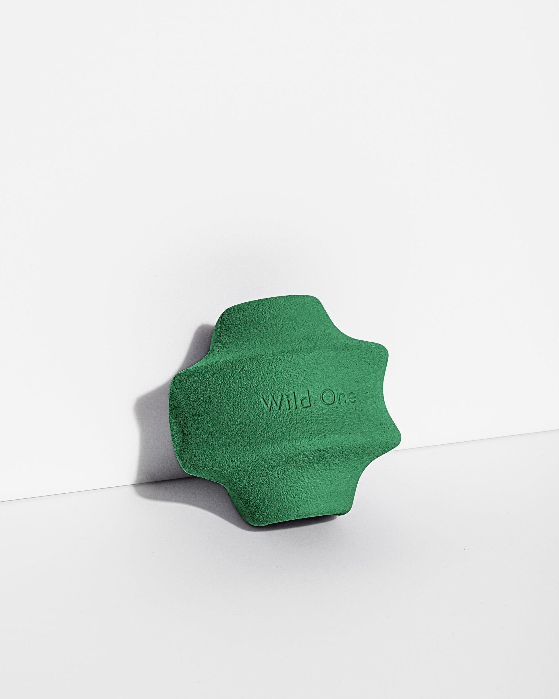 Dog Toy Kit