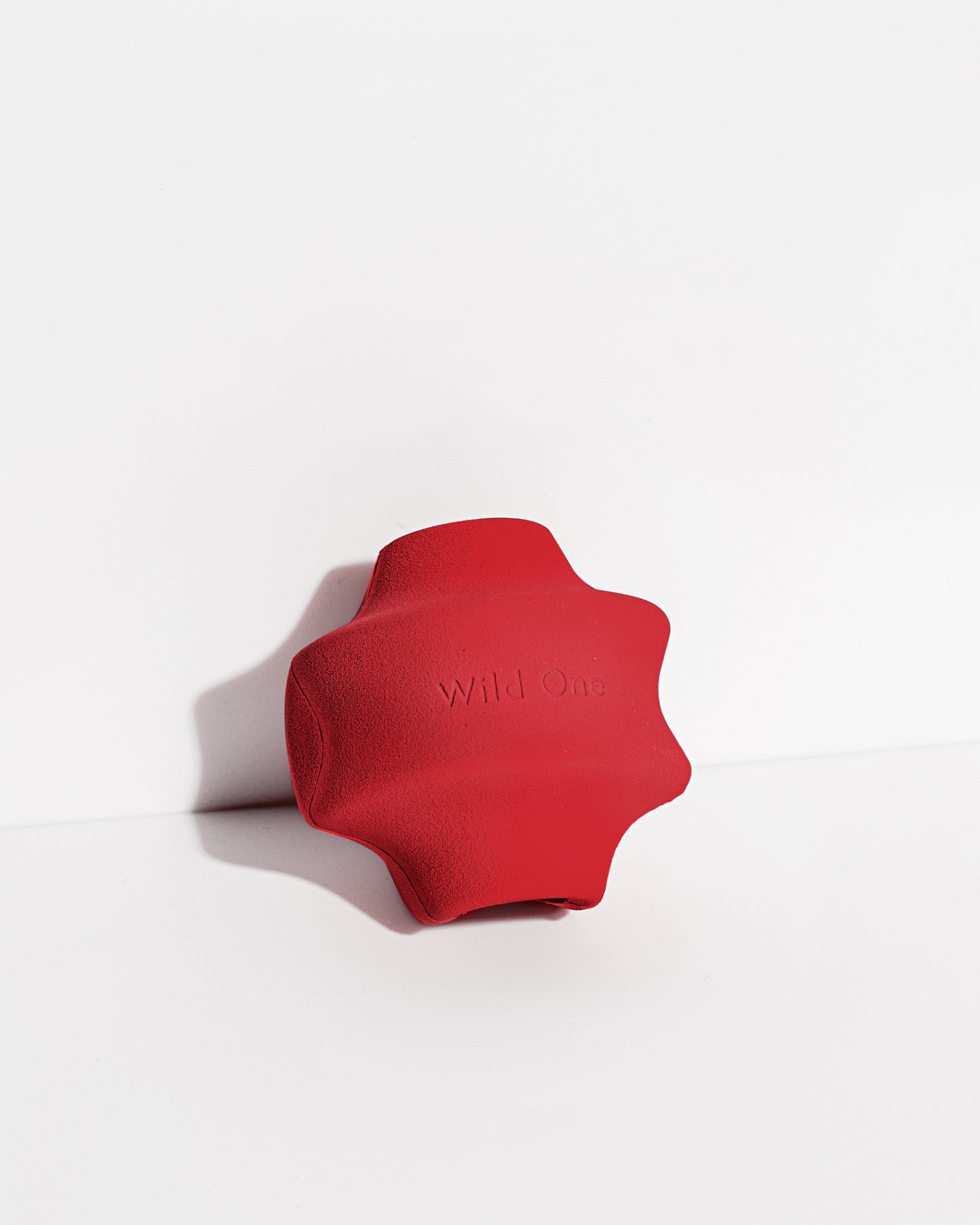 Dog Toy Kit