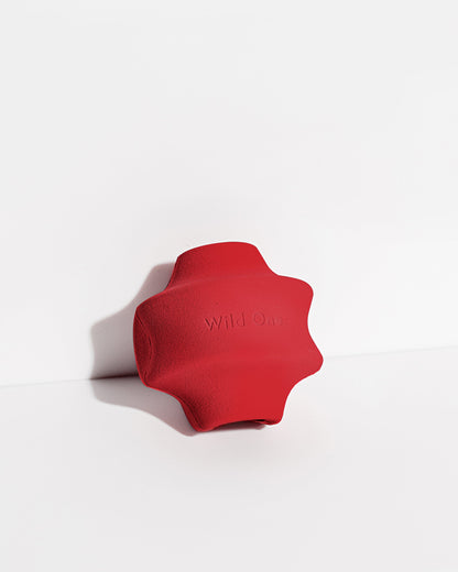 Dog Toy Kit