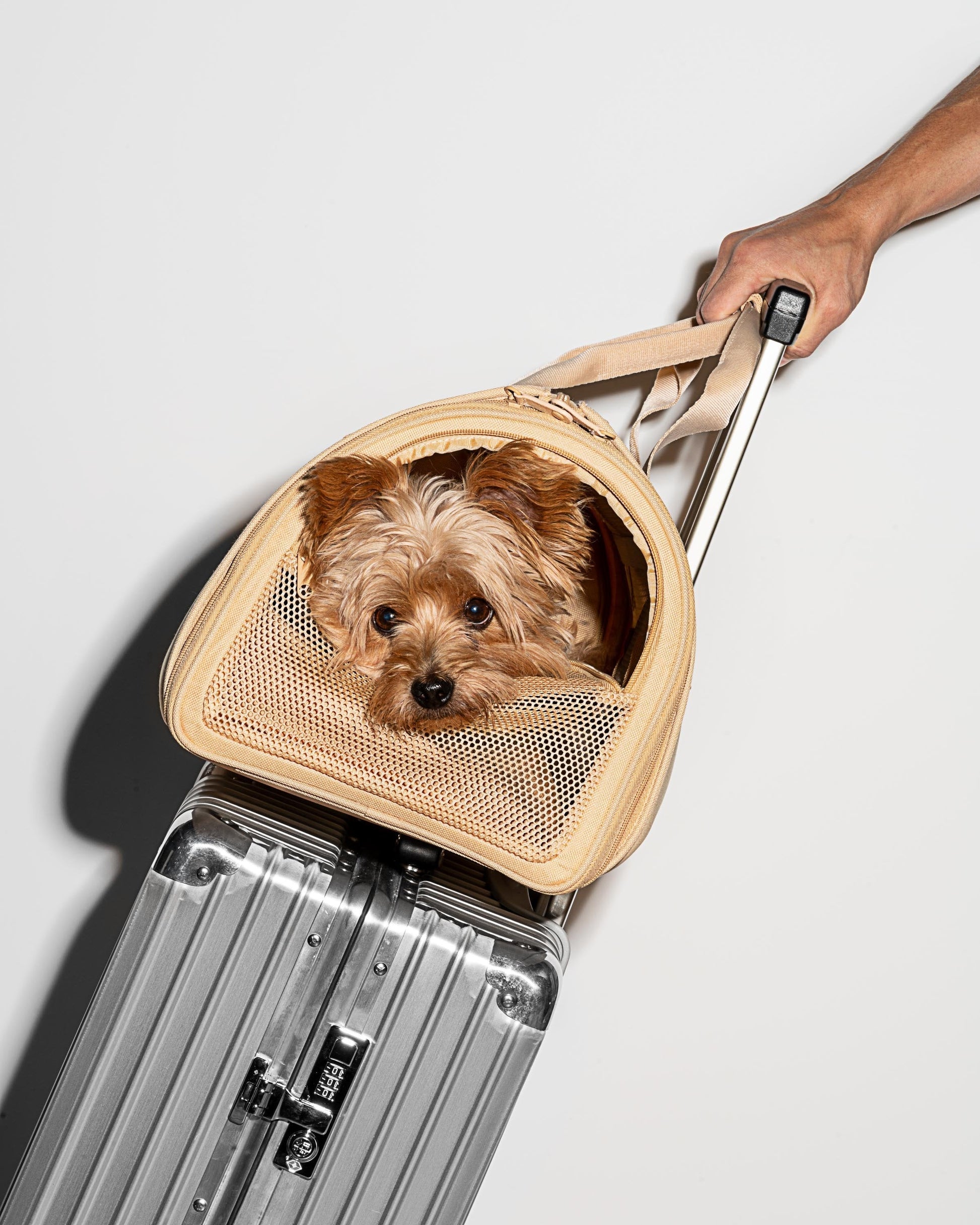 Travel Carrier