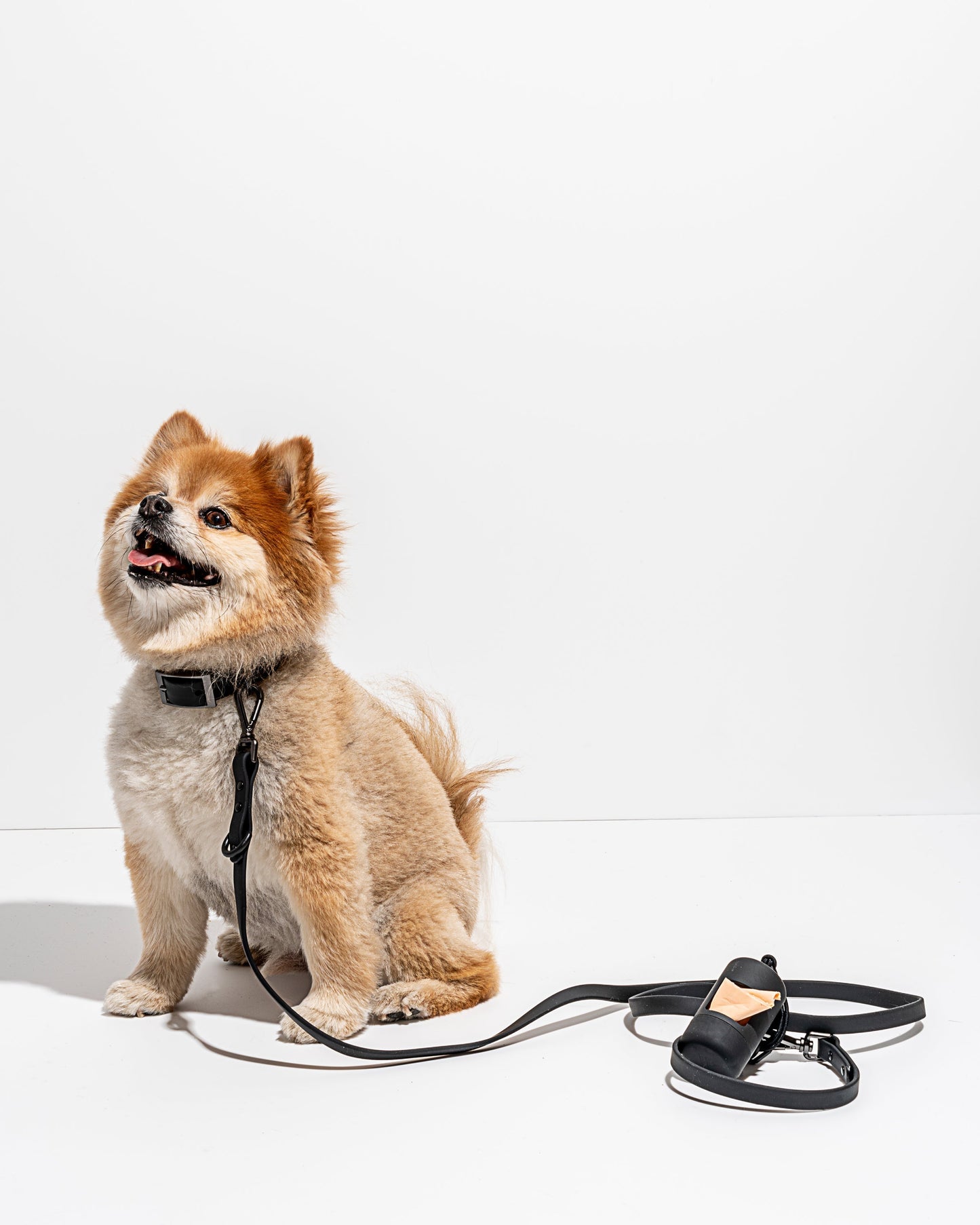 Waterproof Dog Collar