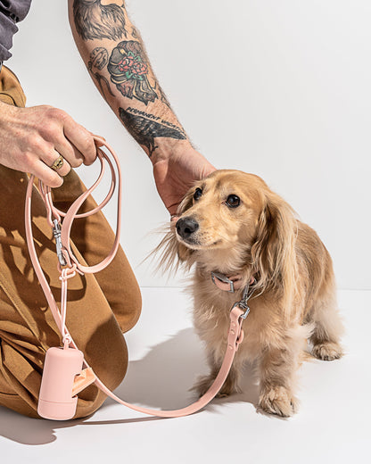 Waterproof Dog Collar