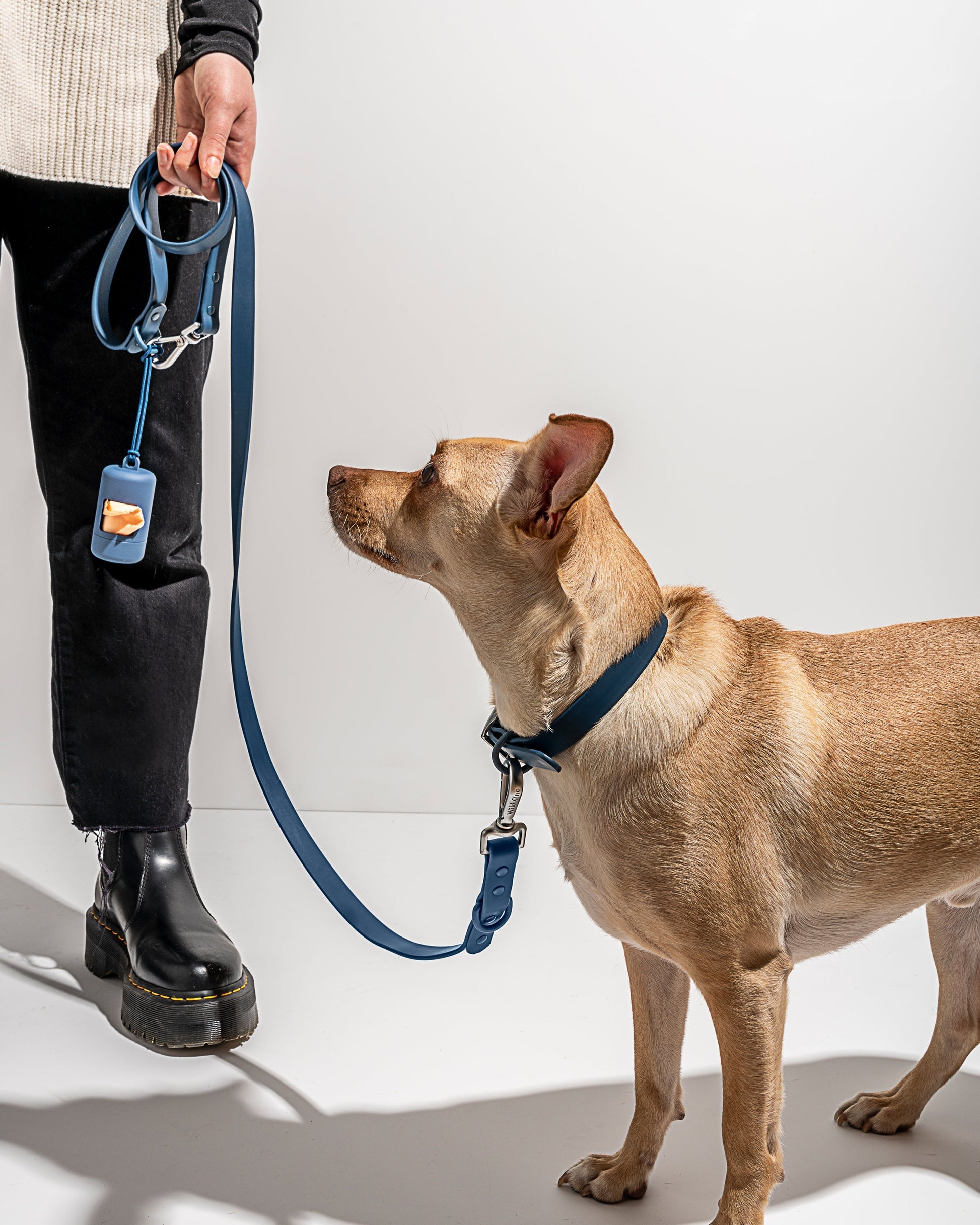 Waterproof Dog Collar