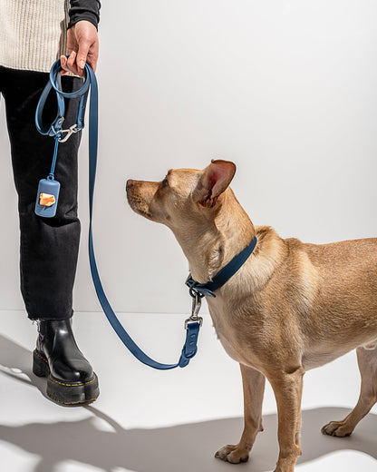 Waterproof Dog Collar