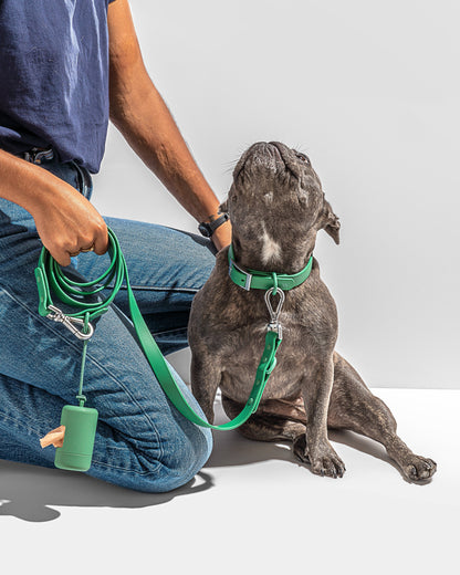 Waterproof Dog Leash