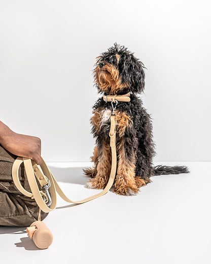 Waterproof Dog Collar
