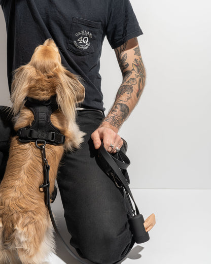 Cushioned Dog Harness