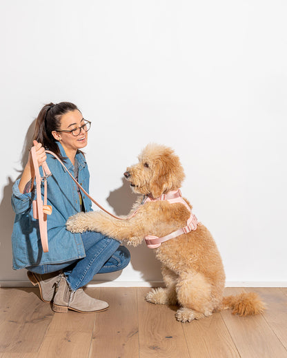 Waterproof Dog Leash