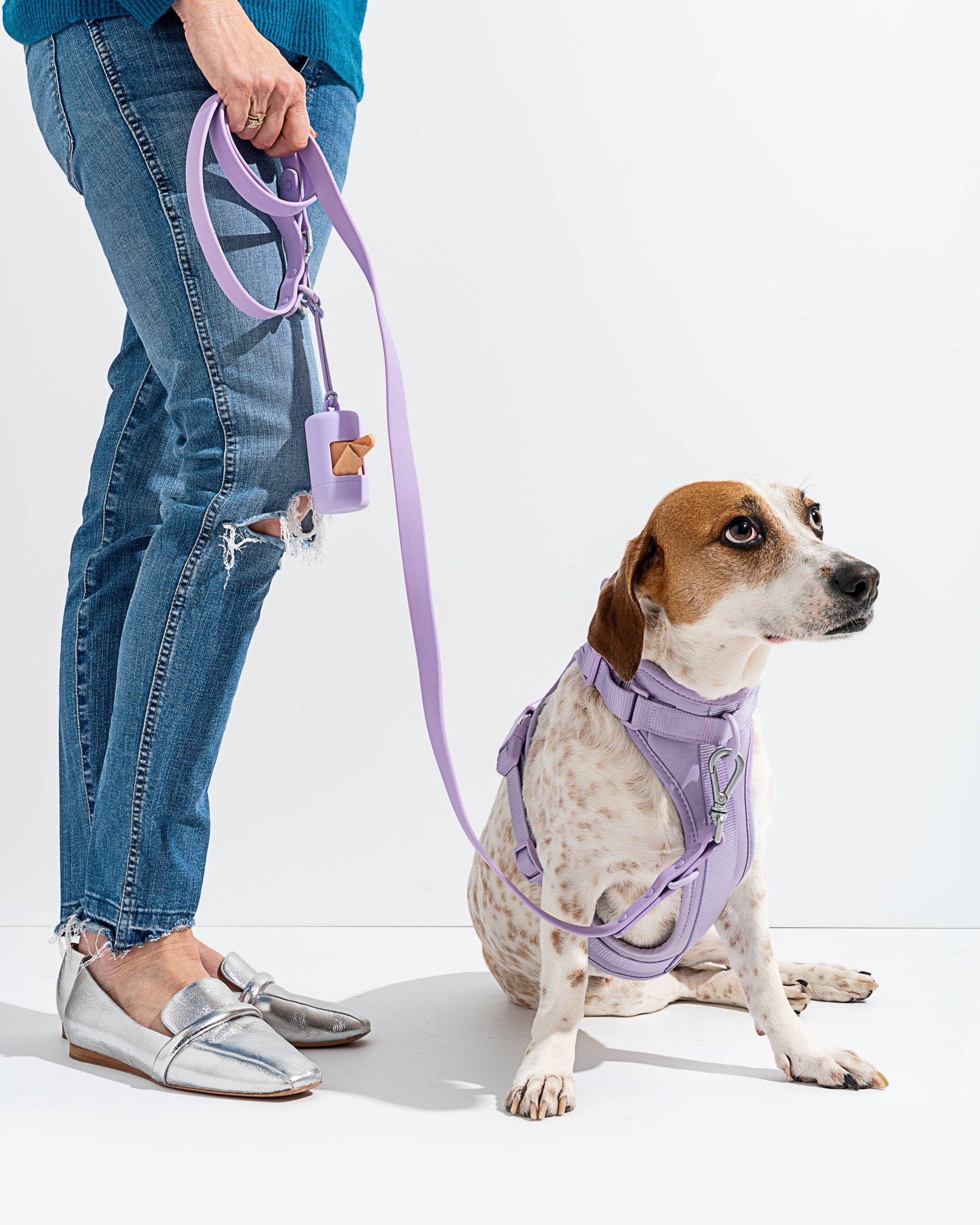 Cushioned Dog Harness