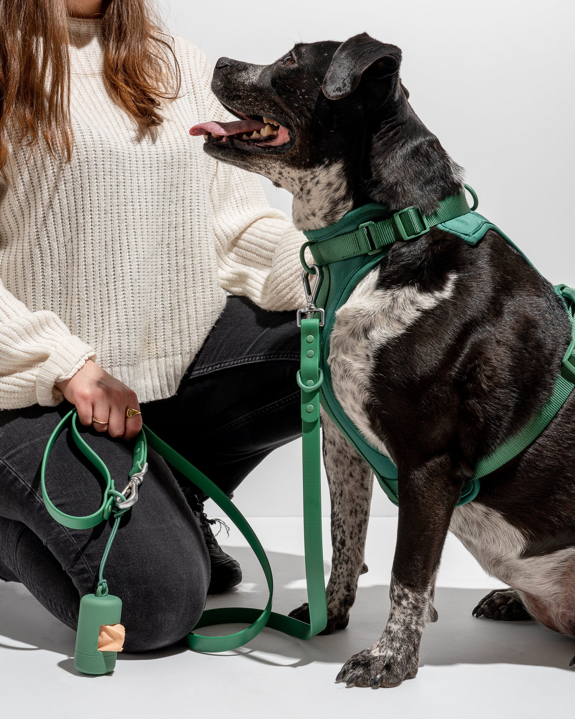 Cushioned Dog Harness
