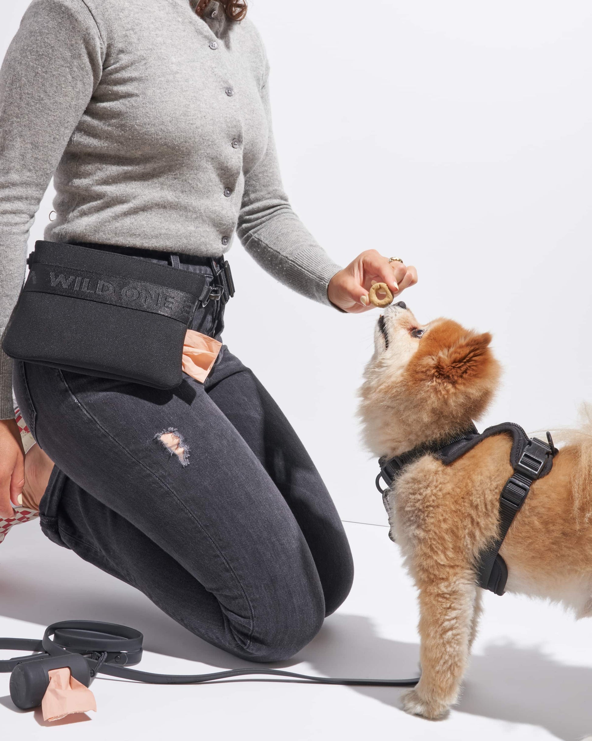Treat Pouch