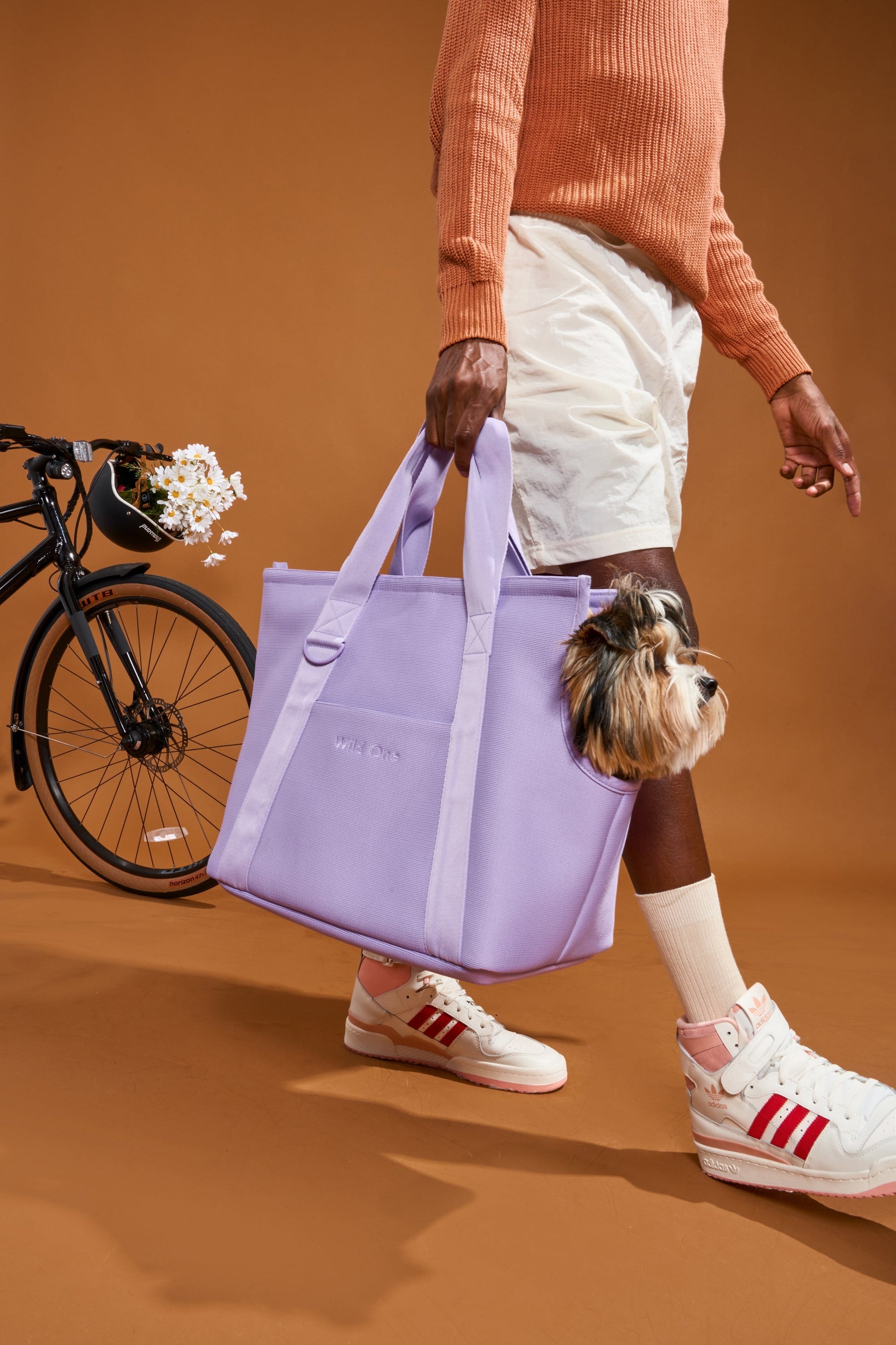 Everyday Carrier