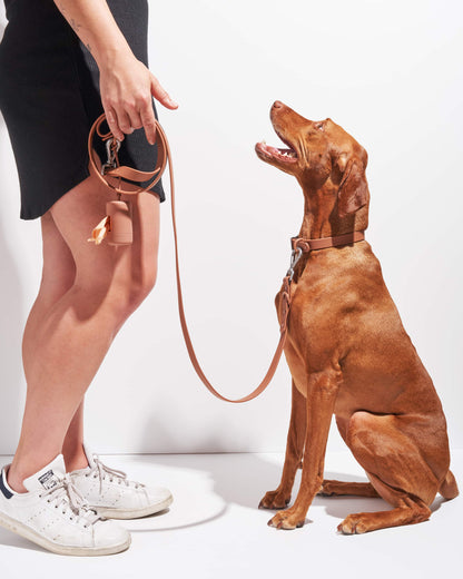 Waterproof Dog Collar