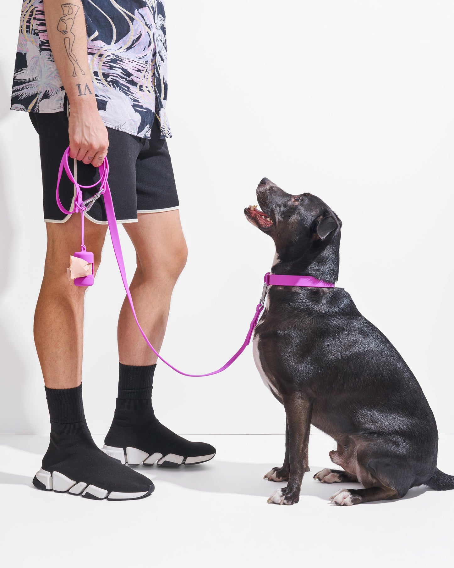 Waterproof Dog Collar