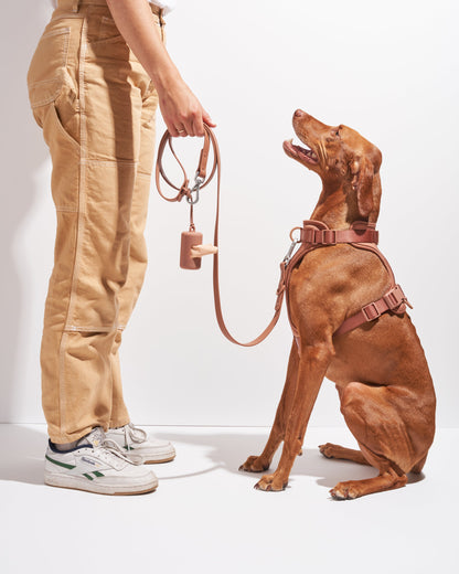 Cushioned Dog Harness